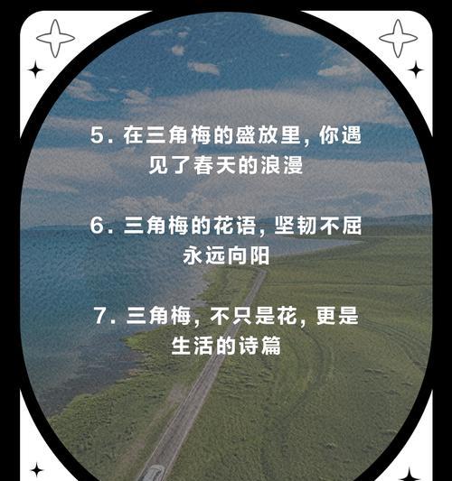三角梅花语意思是什么？三角梅代表了哪些情感？