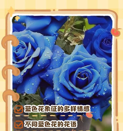 代表爱的花有哪些？各自的花语是什么？
