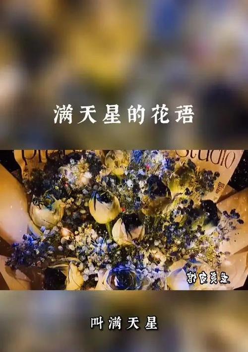 满天星的花语有哪些？十年满天星有何特别含义？