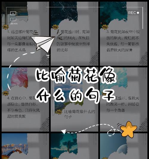 菊花的花语有哪些？它象征着什么寓意？