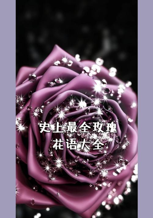 玫瑰不同颜色的花语有哪些？它们分别代表什么？
