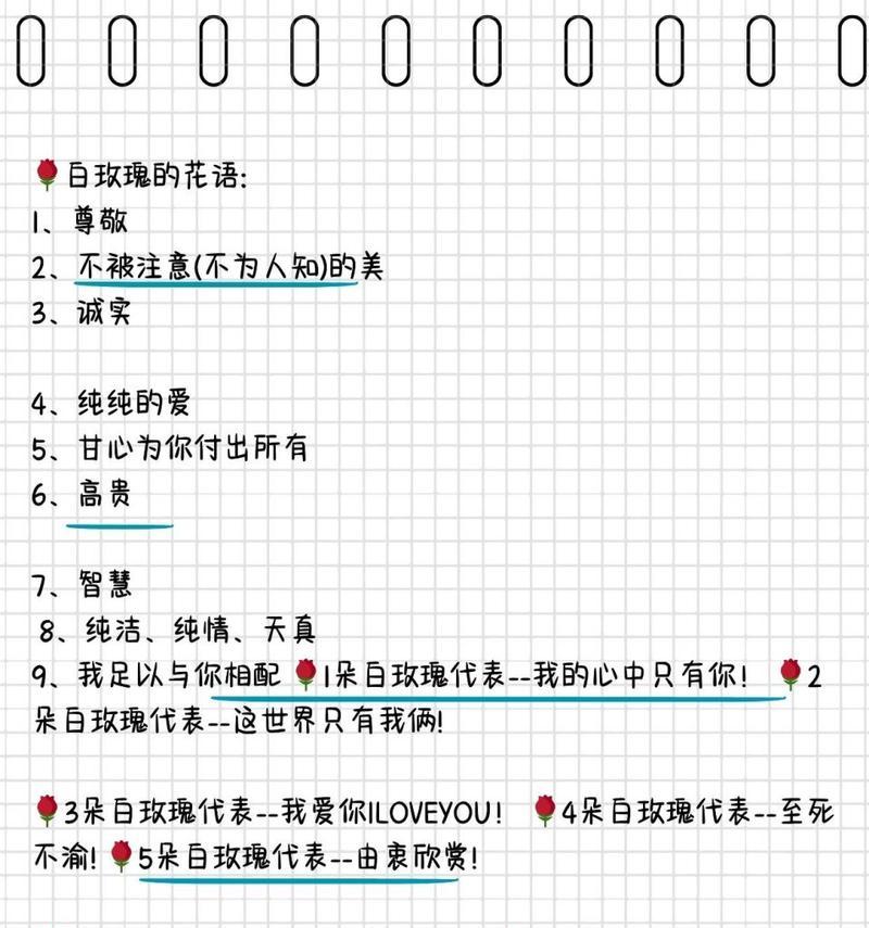 玫瑰花颜色与花语有何关联？