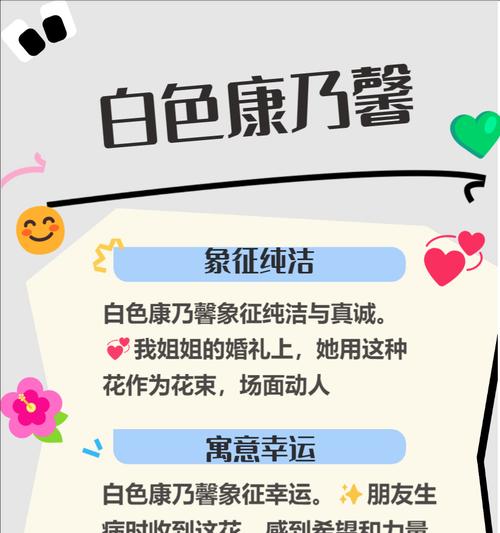 康乃馨花木代表了哪些情感？