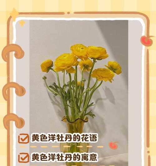 牡丹不同颜色的花语有何不同？