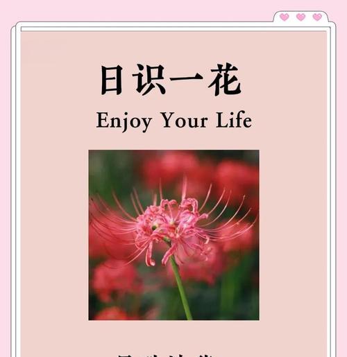 彼岸花有哪些不同的花语含义？