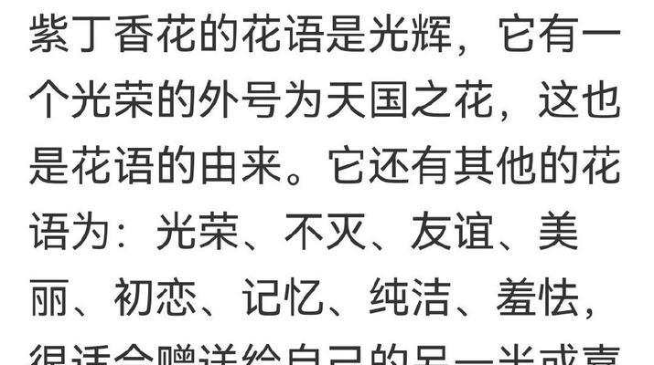 紫丁香花的花语有哪些特别含义？