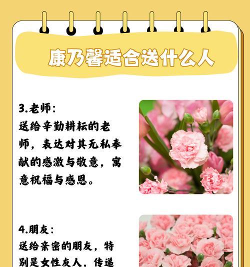 康乃馨花木的花语有哪些？