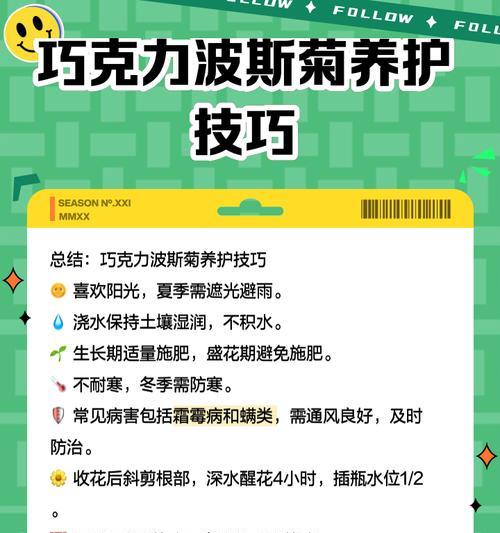波斯菊的花语背后有哪些故事？