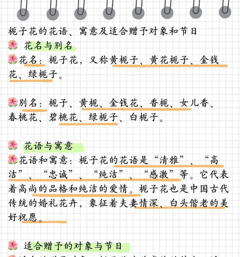 栀子花姑娘的花语及其文化含义是什么？