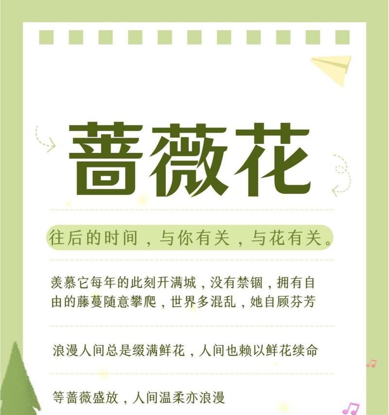 所有蔷薇花的花语有哪些？它们各自代表什么意义？