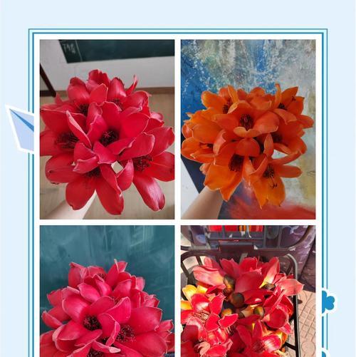 木棉花花语和传说有哪些？它们背后的故事是什么？