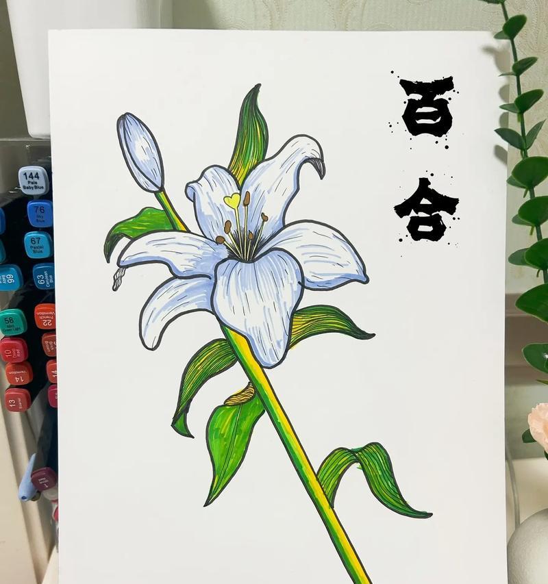 七只百合花的花语是什么？它们各自有何含义？