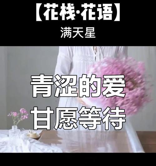 满天星的花语花语是什么？它在花语中扮演什么角色？