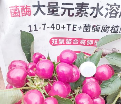 水溶怎么种？水溶性肥料的正确使用方法是什么？