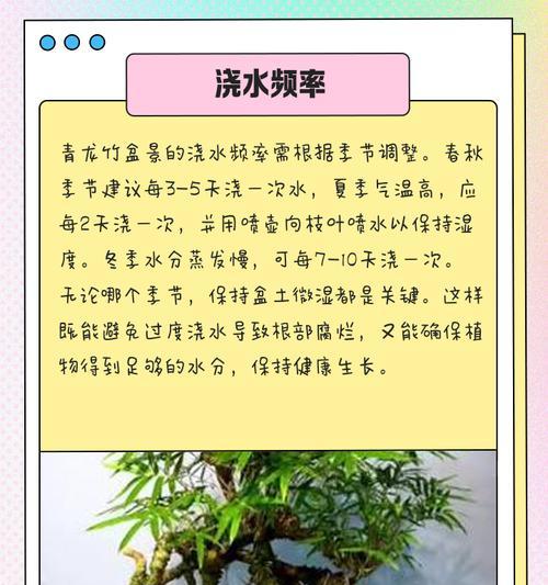 观赏竹的正确养护技巧有哪些？