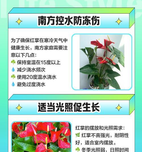 红掌叶修剪技巧有哪些？怎样修剪才能促进生长？