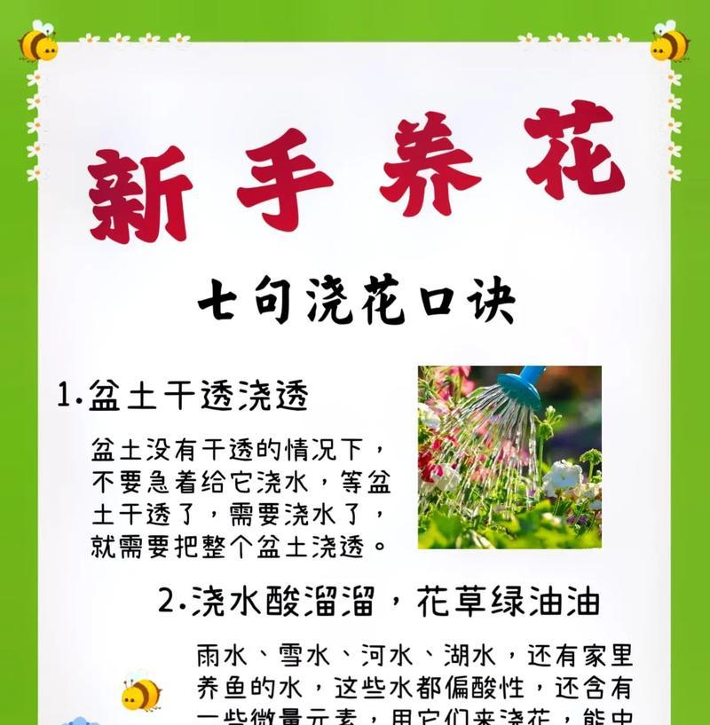 花卉繁殖的常用方法和步骤是什么？