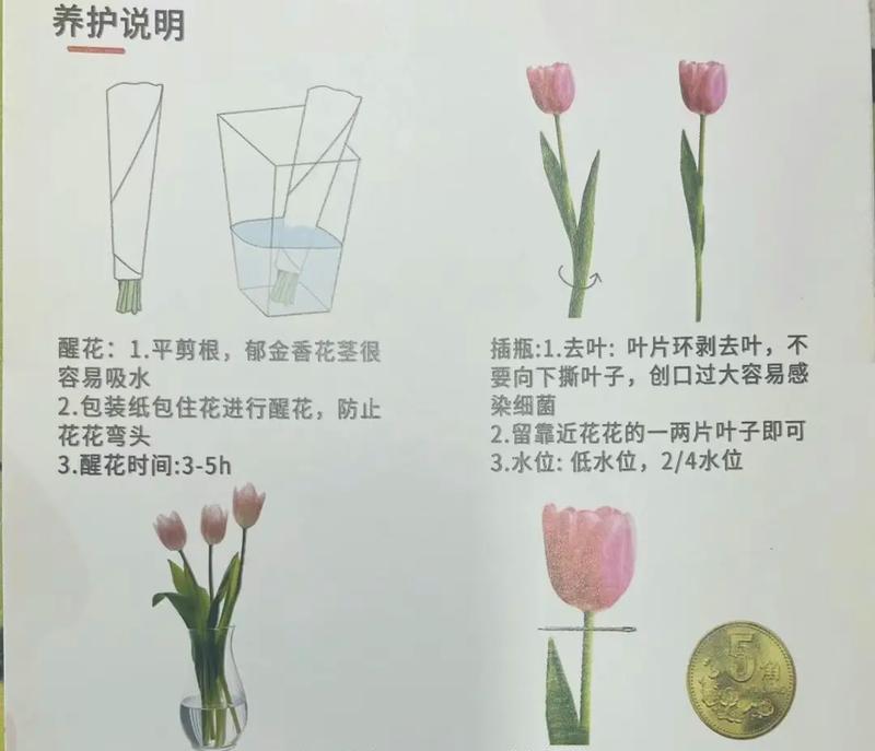 花卉繁殖的常用方法和步骤是什么？