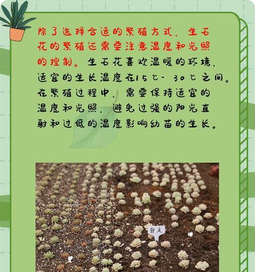 花卉繁殖的常用方法和步骤是什么？