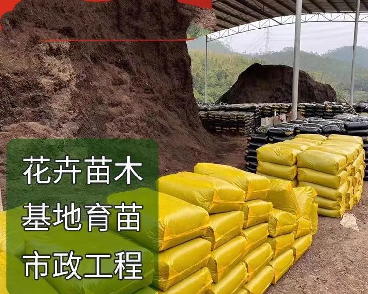 泥炭土适合种植哪些花卉？