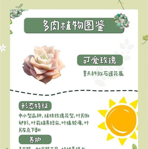 玫瑰的繁殖方法有哪些？如何成功繁殖出健康的玫瑰？