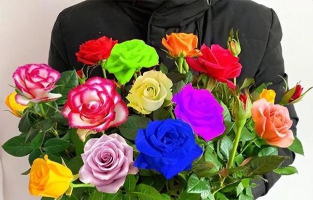 花品种玫瑰中哪些最香？如何挑选玫瑰品种？