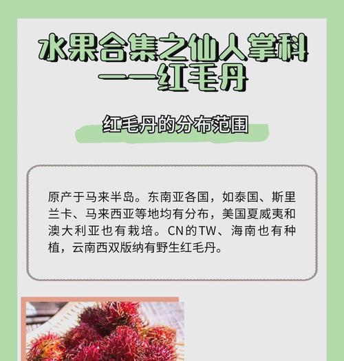 红毛丹种植需要注意哪些事项？
