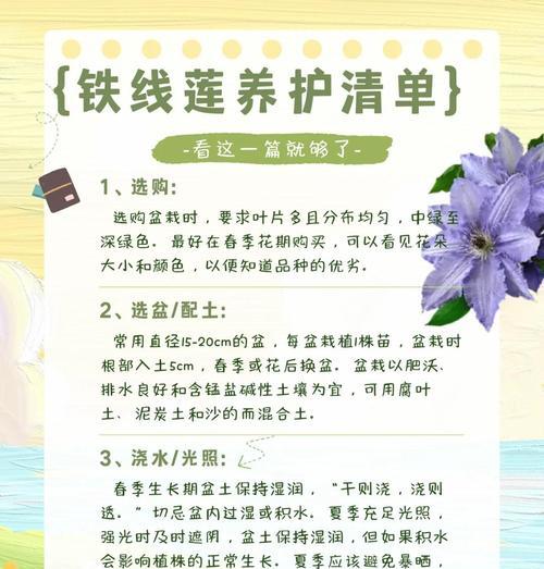 铁线莲的养殖技巧是什么？