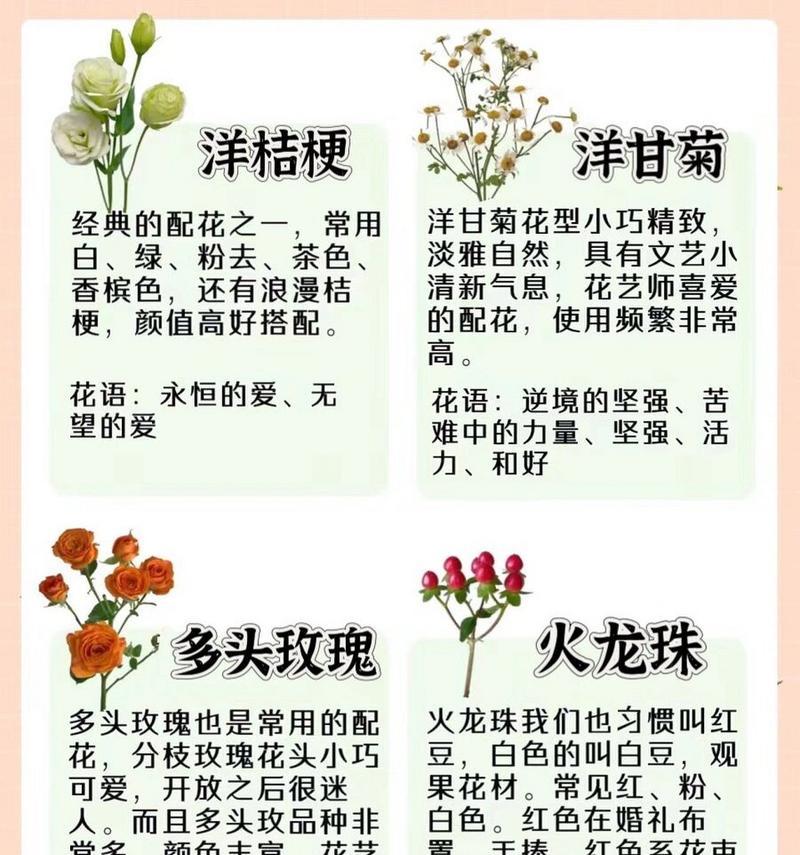 满天星有哪些品种？如何选择最适合的满天星？