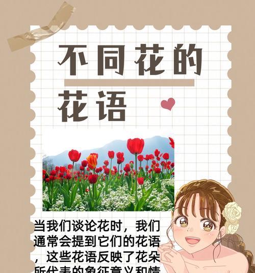 水培三角梅的正确方法是什么？水培后如何维护？