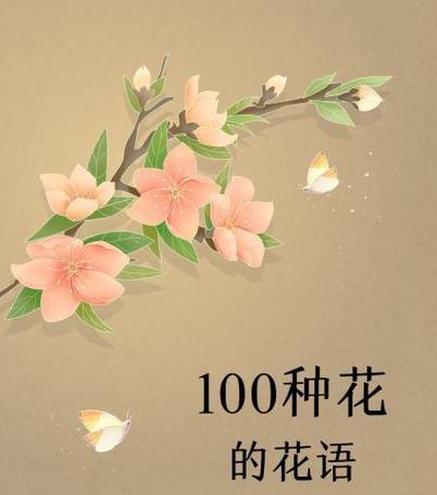 水培三角梅的正确方法是什么？水培后如何维护？