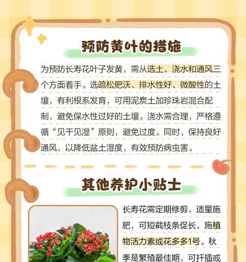 长寿花叶子脱落的原因是什么？如何防止叶子掉落？