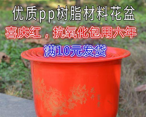 花开富贵盆栽养护技巧有哪些？