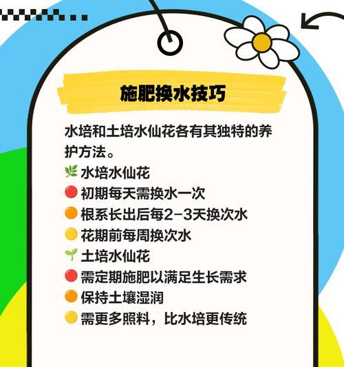 花仙子怎么养？家庭养护技巧有哪些？