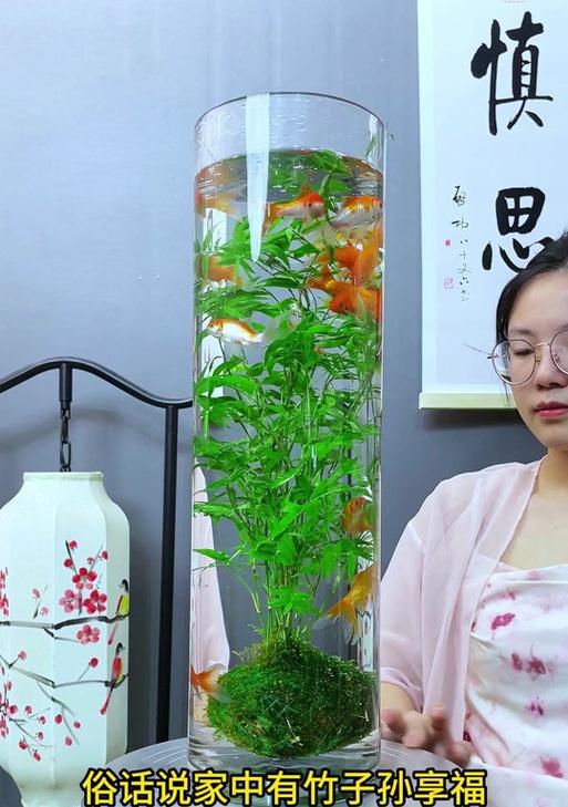 罗汉竹盆景的养殖方法有哪些？