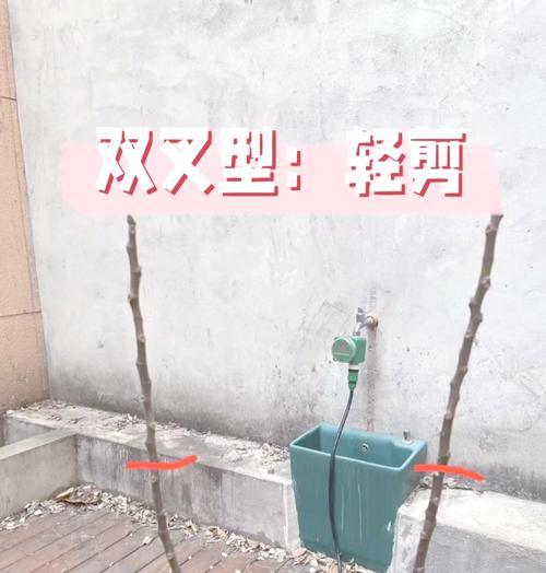 无花果修剪的正确方法和时机是什么？