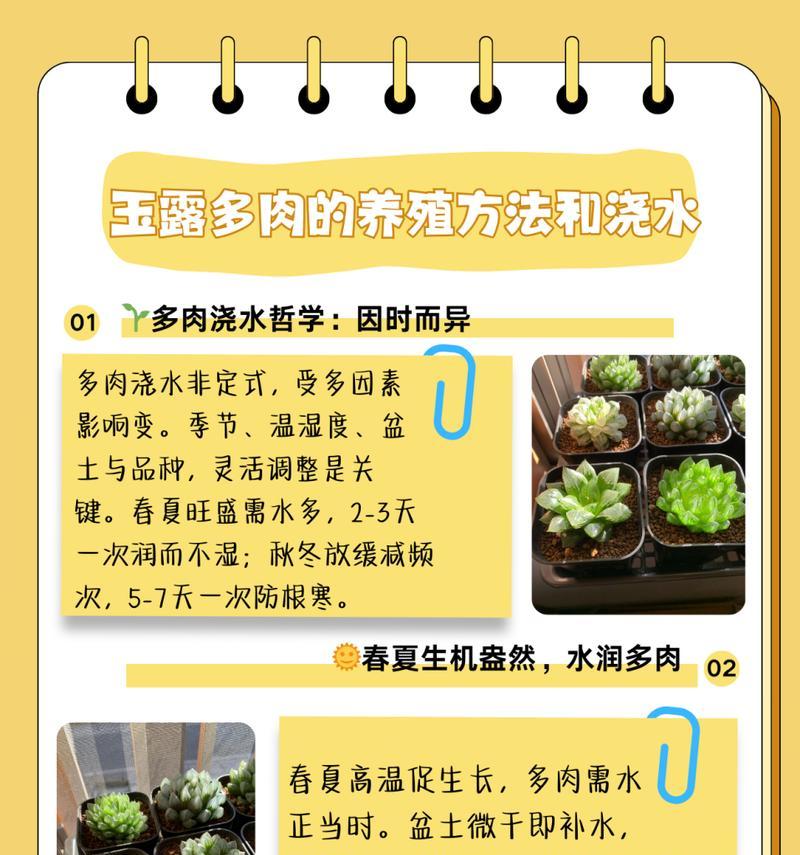 姬玉露开花怎么办？姬玉露开花后的管理技巧是什么？
