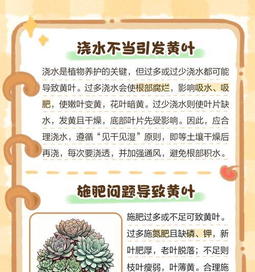 常青藤叶子发黄是什么问题？