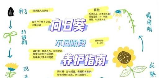 向日葵施肥的最佳时间是什么时候？