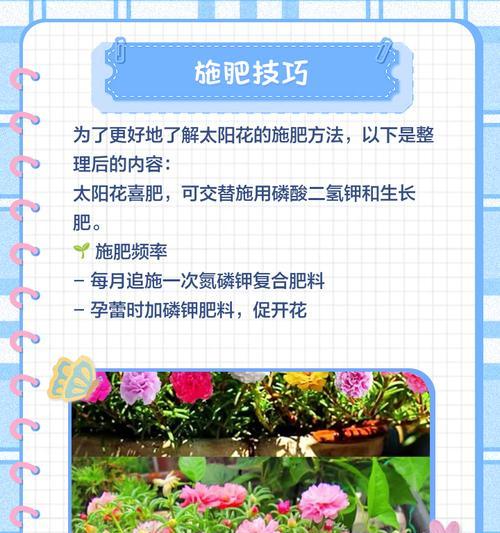 向日葵施肥的最佳时间是什么时候？