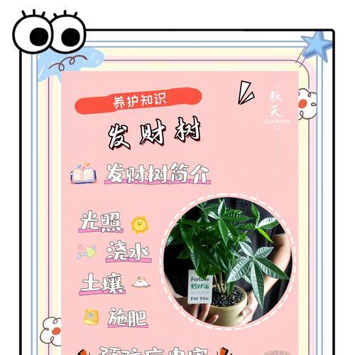 小树苗养护需要注意哪些问题？