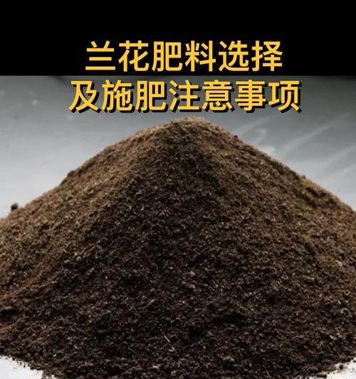 兰花肥料用什么好？兰花专用肥料的选择和使用方法是什么？