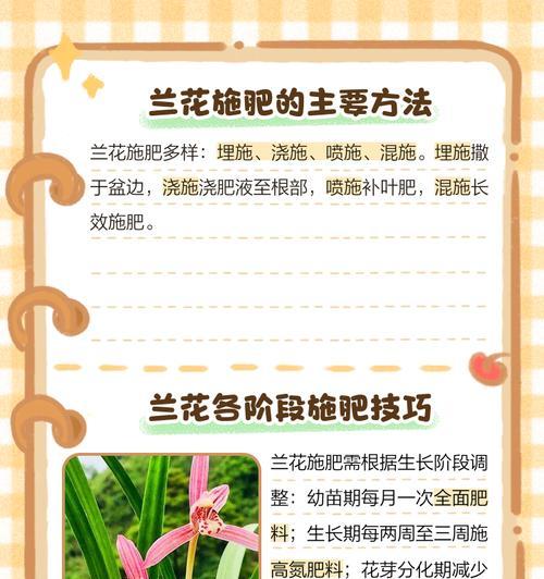 兰花肥料用什么好？兰花专用肥料的选择和使用方法是什么？