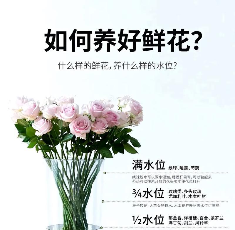 挑选花卉时应注意哪些要点？