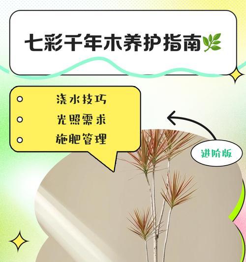 三色千年木的养殖技巧是什么？如何保持色彩鲜艳？