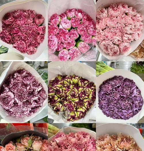 康乃馨花嘴什么样子？如何识别康乃馨的花嘴？