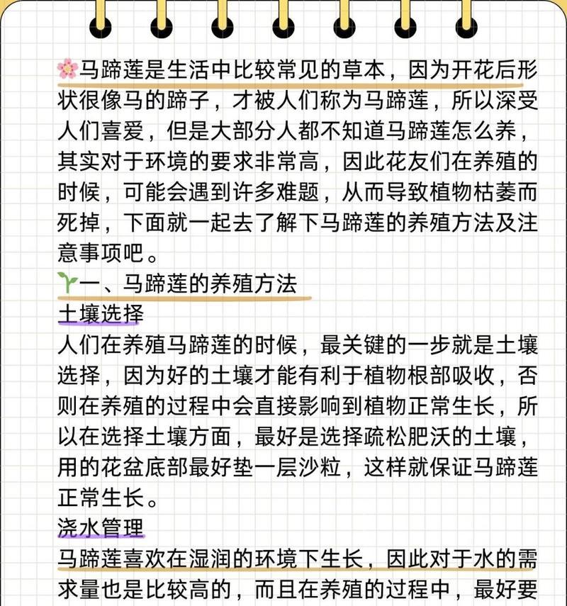 马蹄莲分株的正确步骤是什么？