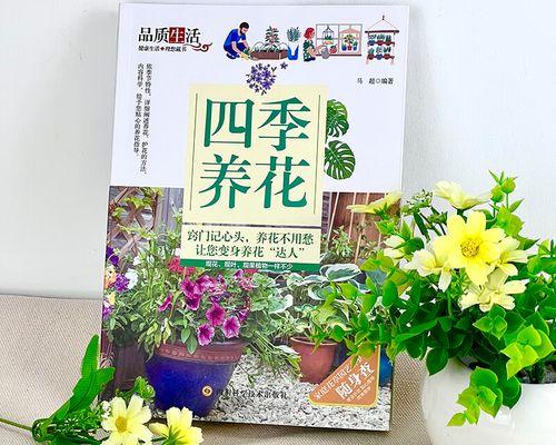 养花怎么样养花？初学者必看的养花技巧有哪些？