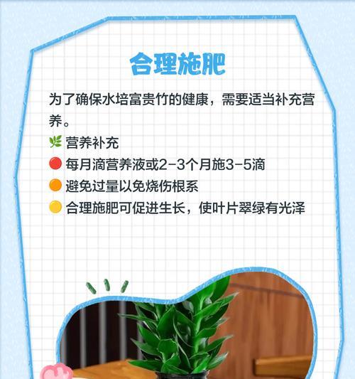 水培富贵竹冬季如何管理？