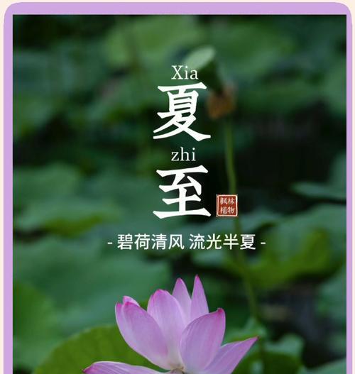 夏至有哪些植物花卉？夏至时节的花卉养护建议？